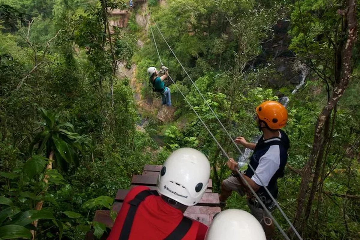 Tourists zip lining Magoebaskloof canopy tours in Tzaneen