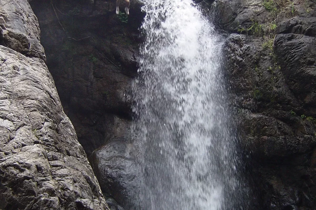 Male tourist jumping into the river kloofing with Magoebaskloof Adventures in Tzaneen