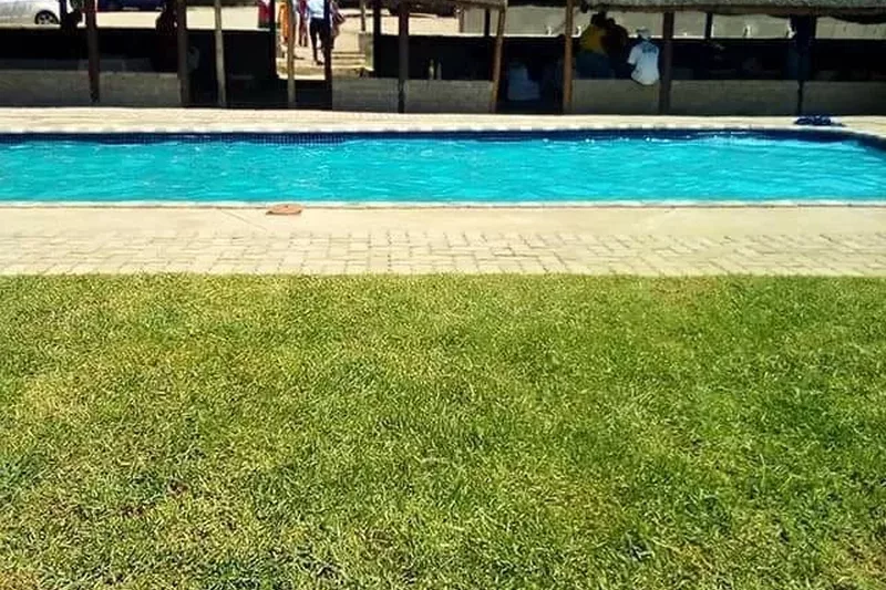 Swimming pool next to a thatched roof at Refilwe Farm Resort in Tzaneen