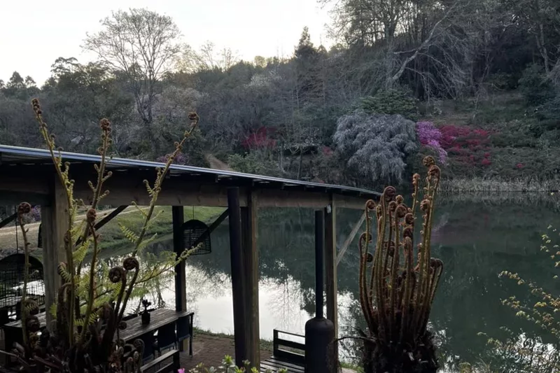 Covered garden gazebo beside the water at Cheerio Gardens in Magoebaskloof