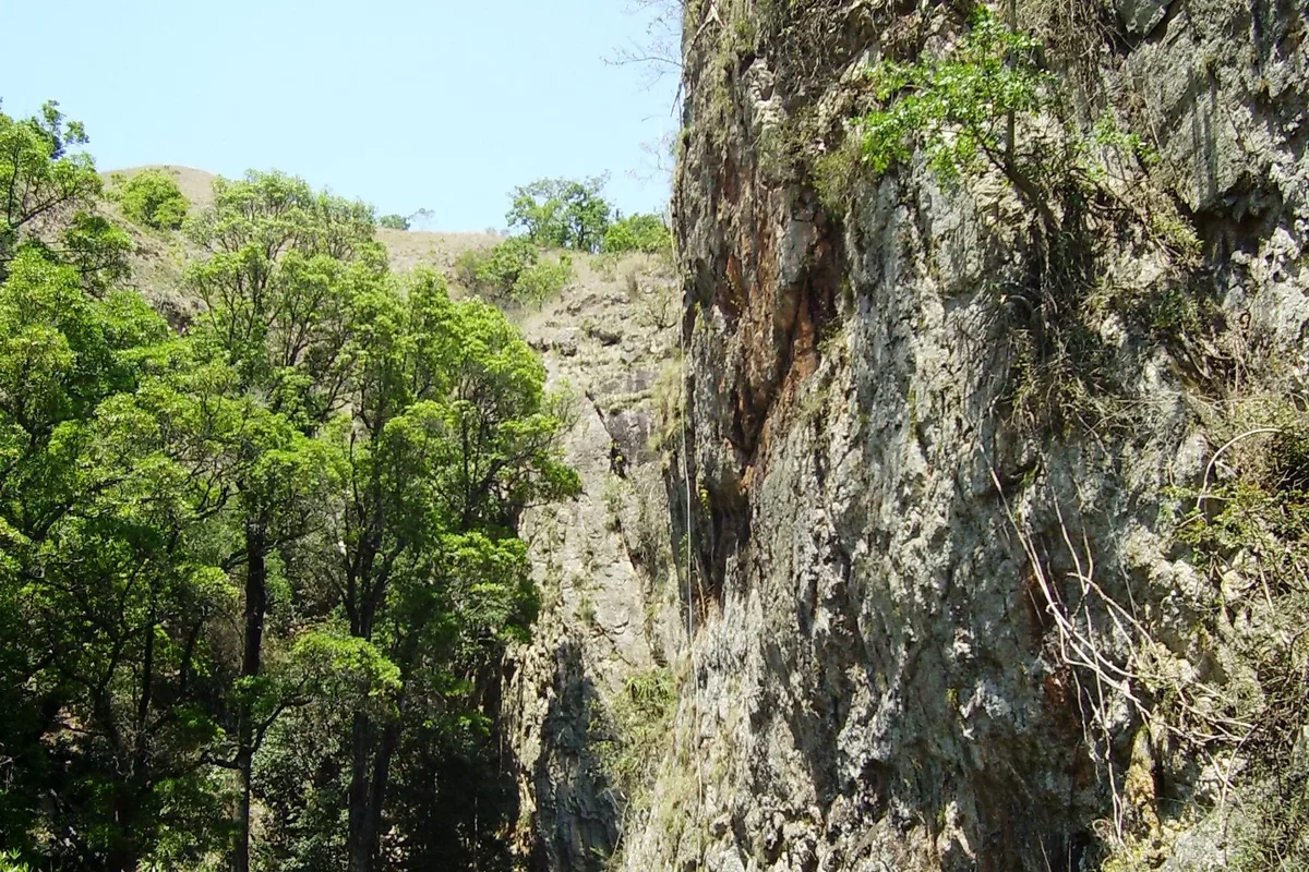 Male tourist abseiling on wolkberg mountain with Magoebaskloof Adventures in Tzaneen