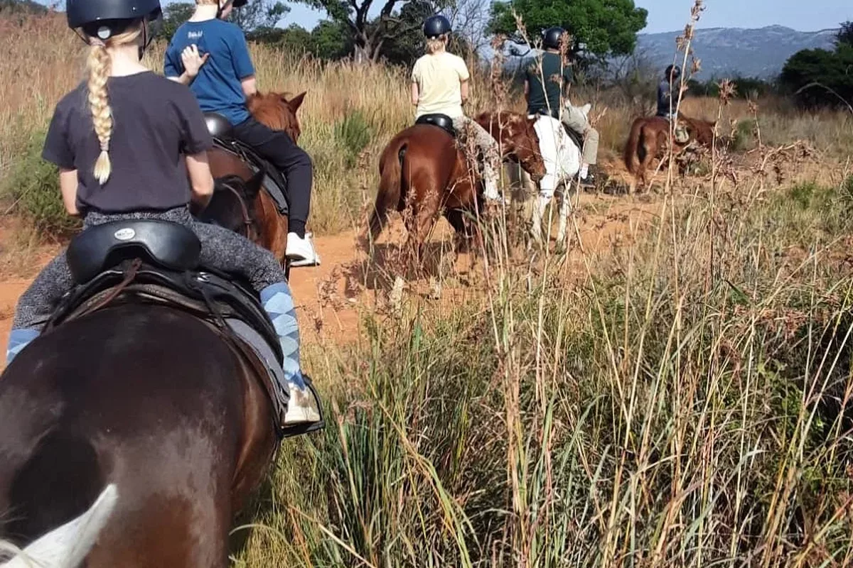 Tourists horse riding at in the company of horses near Tzaneen