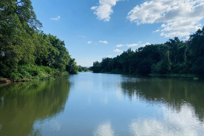 View of letaba river with green trees from the junction phoenix river boat in Tzaneen