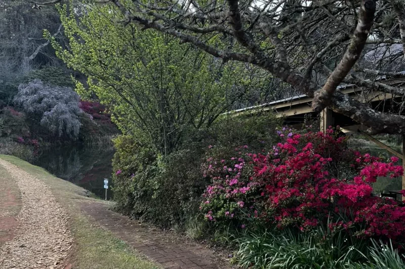 Walking path through Cheerio Gardens in Magoebaskloof