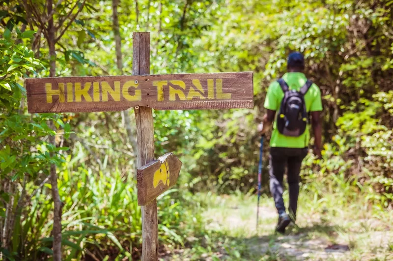 Hiking trail sign with a hiker walking through forest at Magoebaskloof Adventures