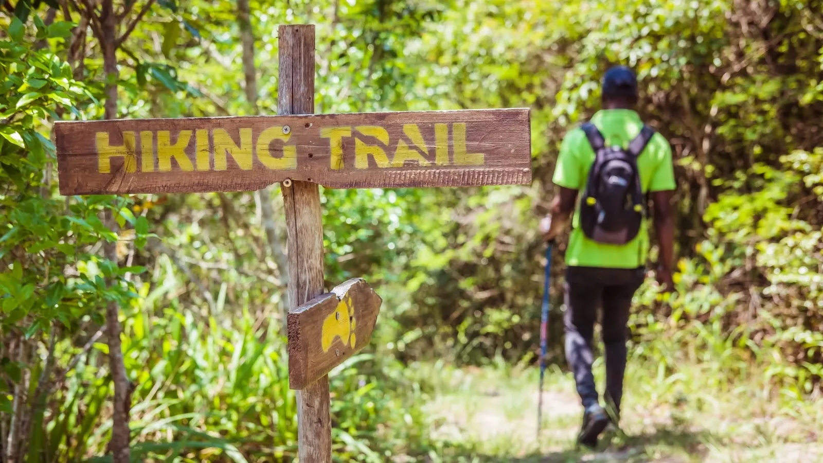 Hiking trail sign with a hiker walking through forest at Magoebaskloof Adventures
