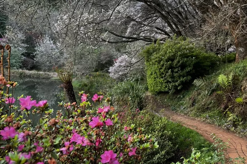 Garden path lined with flowers at Cheerio Gardens in Magoebaskloof